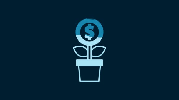 Vit Dollar Växt Ikon Isolerad Blå Bakgrund Tillväxtkoncept För Företagsinvesteringar — Stockvideo
