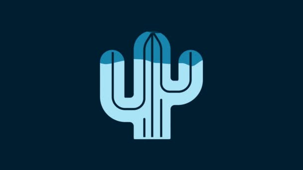 White Cactus Icon Isolated Blue Background Video Motion Graphic Animation — Stockvideo