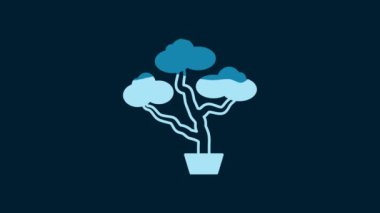 White Japanese bonsai tree icon isolated on blue background. Japanese culture, horticulture, olericulture hobby concept. 4K Video motion graphic animation.
