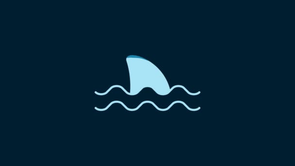 White Shark Fin Ocean Wave Icon Isolated Blue Background Video — Video Stock