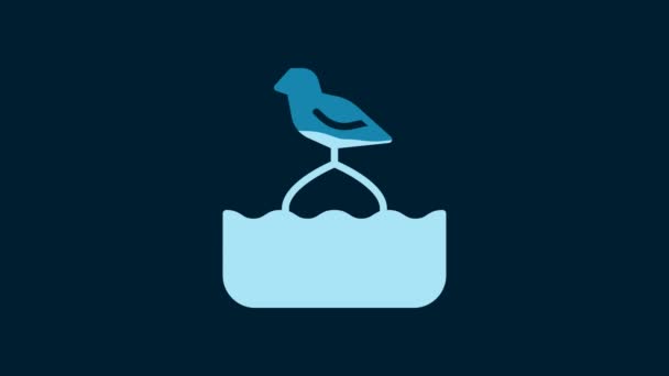 White Seagull Sits Buoy Sea Icon Isolated Blue Background Video — Wideo stockowe