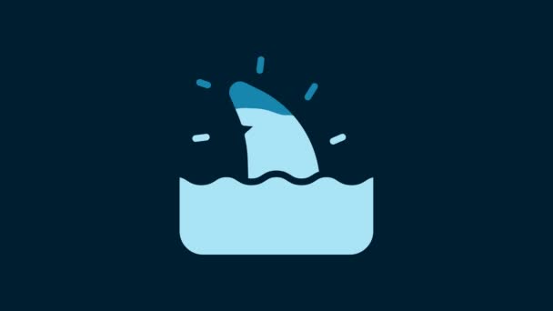 White Shark Fin Ocean Wave Icon Isolated Blue Background Video — Wideo stockowe