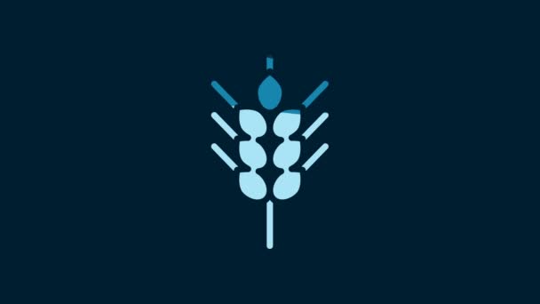 トウモロコシ オート麦 ライ麦 大麦のアイコンが青の背景に隔離されたセットホワイトセリアル 小麦パンのシンボルの耳 4Kビデオモーショングラフィックアニメーション — ストック動画