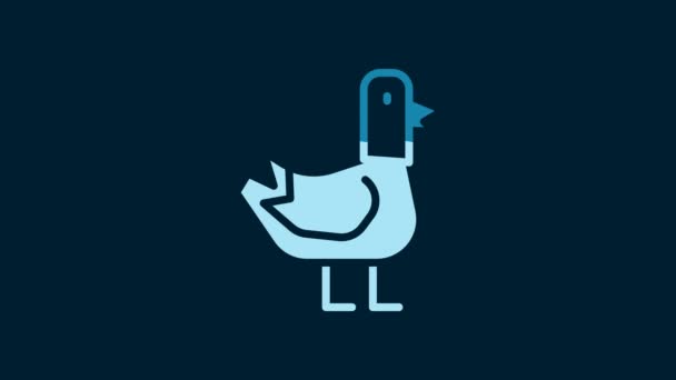 White Dove Icon Isolated Blue Background Video Motion Graphic Animation — Video