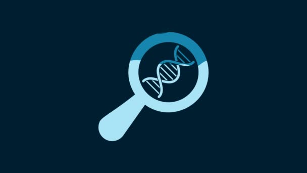 白色Dna研究 搜索图标分离的蓝色背景 放大镜和Dna链 遗传工程 亲子鉴定4K视频运动图形动画 — 图库视频影像