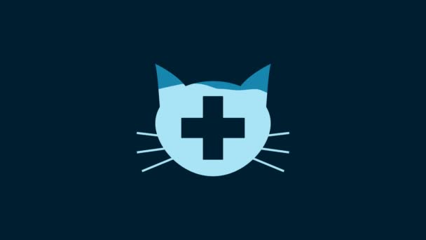White Veterinary Clinic Symbol Icon Isolated Blue Background Cross Cat — Stock Video