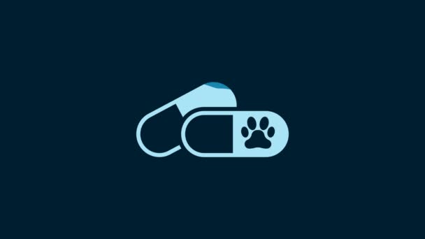 White Dog Pills Icon Isolated Blue Background Prescription Medicine Animal — 비디오