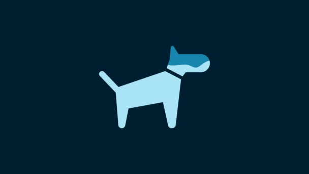 White Dog Icon Isolated Blue Background Video Motion Graphic Animation — Stockvideo