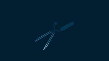 White Gardening handmade scissors for trimming icon isolated on blue background. Pruning shears with wooden handles. 4K Video motion graphic animation.