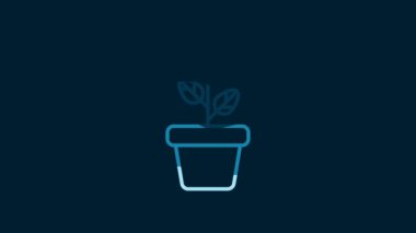 White Flowers in pot icon isolated on blue background. Plant growing in a pot. Potted plant sign. 4K Video motion graphic animation.