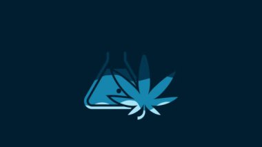 White Chemical test tube with marijuana or cannabis leaf icon isolated on blue background. Research concept. Laboratory CBD oil concept. 4K Video motion graphic animation.