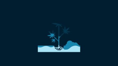 White Planting marijuana or cannabis plant in the ground icon isolated on blue background. Marijuana growing concept. Hemp symbol. 4K Video motion graphic animation.