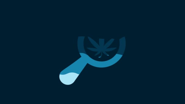 White Magnifying Glass Medical Marijuana Cannabis Leaf Icon Isolated Blue — Video Stock
