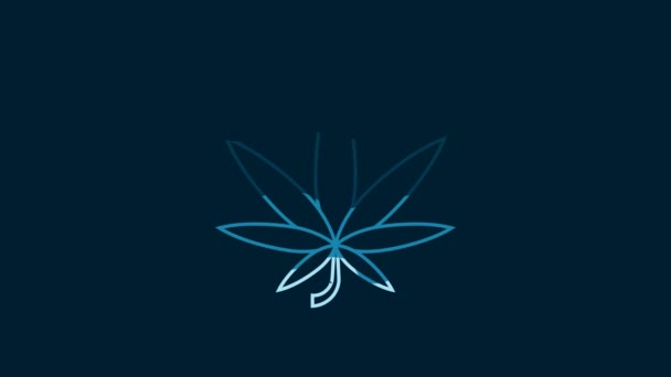White Medical Marijuana Cannabis Leaf Icon Isolated Blue Background Hemp — Stock video