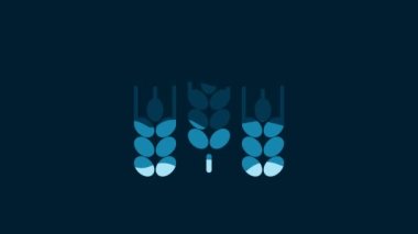 White Cereals set with rice, wheat, corn, oats, rye, barley icon isolated on blue background. Ears of wheat bread symbols. 4K Video motion graphic animation.