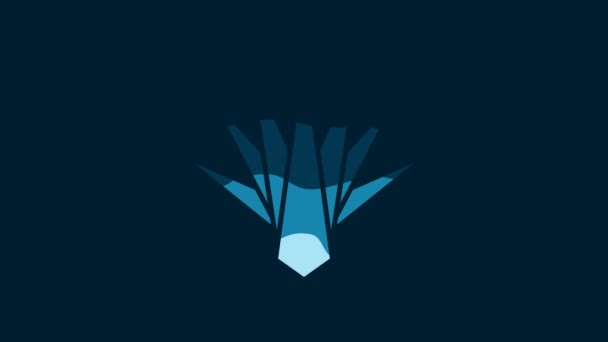 白色的Agave图标被蓝色背景隔离 墨西哥的传统植物 4K视频运动图形动画 — 图库视频影像