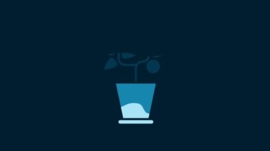 White Plant in pot icon isolated on blue background. Plant growing in a pot. Potted plant sign. 4K Video motion graphic animation.