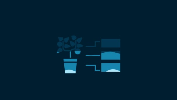 White Flower Analysis Icon Isolated Blue Background Video Motion Graphic — Stok video