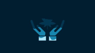 White Medical marijuana or cannabis leaf icon isolated on blue background. Hemp symbol. 4K Video motion graphic animation.