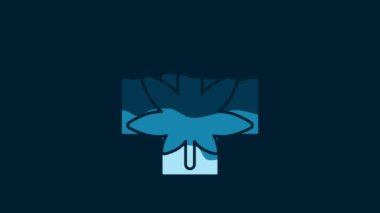 White Medical marijuana or cannabis leaf icon isolated on blue background. Hemp symbol. 4K Video motion graphic animation.