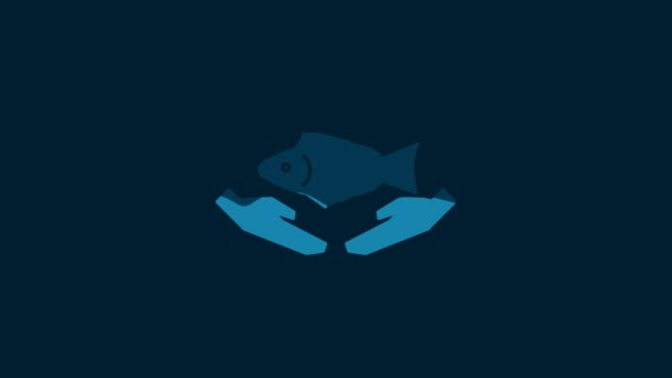 Λευκό Εικονίδιο Φροντίδας Ψαριών Απομονωμένο Μπλε Φόντο Γραφική Κίνηση Κίνησης — Αρχείο Βίντεο