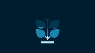 White Plant icon isolated on blue background. Seed and seedling. Leaves sign. Leaf nature. 4K Video motion graphic animation.