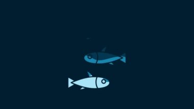 White Fishes icon isolated on blue background. 4K Video motion graphic animation.
