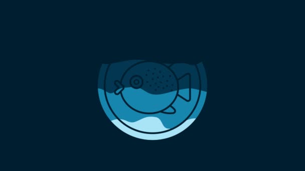 White Puffer Fish Plate Icon Isolated Blue Background Fugu Fish — Stok video