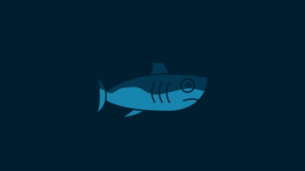 White Shark Icon Isolated Blue Background Video Motion Graphic Animation — Stockvideo