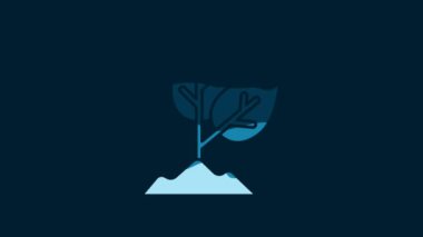 White Plant icon isolated on blue background. Seed and seedling. Leaves sign. Leaf nature. 4K Video motion graphic animation.