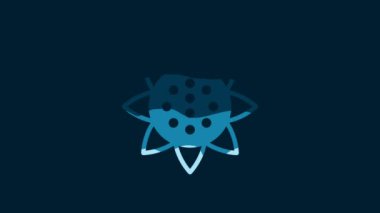 White Sunflower icon isolated on blue background. 4K Video motion graphic animation.