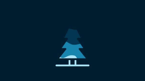 White Canadian Spruce Icon Isolated Blue Background Forest Spruce Video — Stockvideo