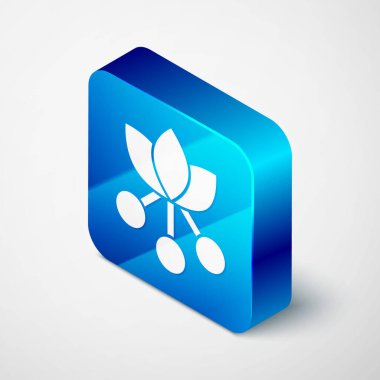 Isometric Coffee bean, branch with leaf and berry icon isolated on grey background. Plant with leaf, berry, fruit, seed. Blue square button. Vector.