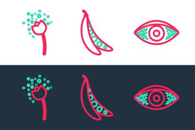 Set line Reddish eye allergic conjunctivitis, Flower producing pollen and Kidney beans icon. Vector