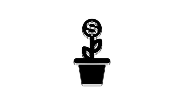 Black Dollar Plant Pot Icon Isolated White Background Business Investment — Stok video