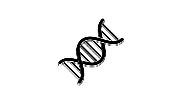 Black Dna Symbol Icon Isolated White Background Video Motion Graphic — Stock Video