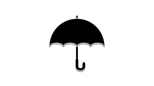 Černá Ikona Deštníku Izolované Bílém Pozadí Grafická Animace Pohybu Videa — Stock video