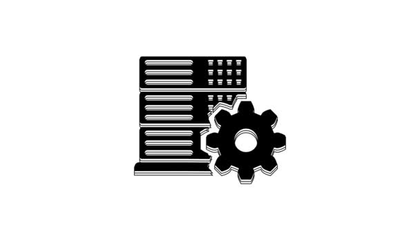 Black Server Setting Icon Isolated White Background Video Motion Graphic — Stock Video