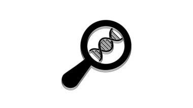 Black DNA research, search icon isolated on white background. Magnifying glass and dna chain. Genetic engineering, cloning, paternity testing. 4K Video motion graphic animation.