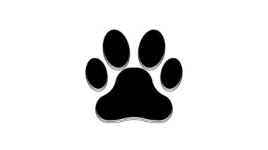Siyah Pençe yazdırma simgesi beyaz arkaplanda izole edildi. Köpek ya da kedi pençesi izi. Hayvan izleri. 4K Video hareketli grafik canlandırması.