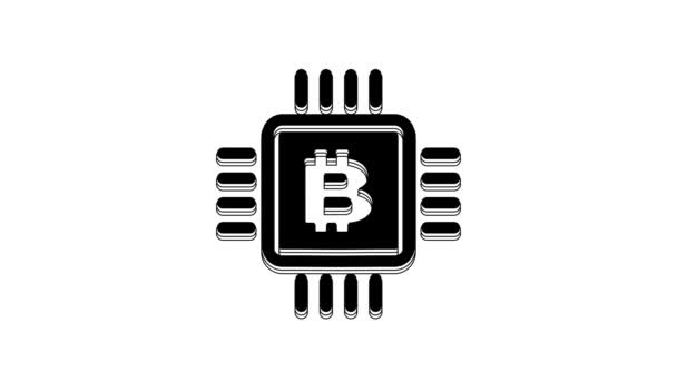 Icono Granja Minera Cpu Negro Aislado Sobre Fondo Blanco Bitcoin — Vídeos de Stock