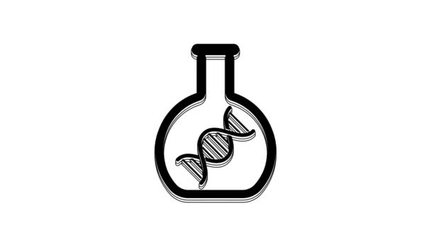 Black Dna Research Search Icon Isolated White Background Genetic Engineering — Vídeos de Stock