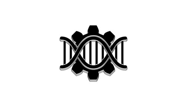 Black Genetic Engineering Icon Isolated White Background Dna Analysis Genetics — ストック動画