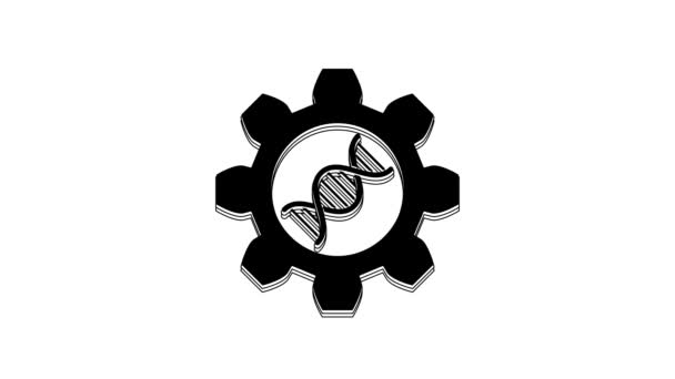 Black Genetic Engineering Icon Isolated White Background Dna Analysis Genetics — ストック動画