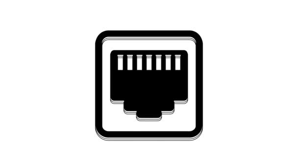Black Network Port Cable Socket Icon Isolated White Background Lan — 图库视频影像