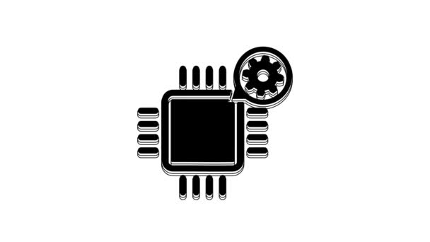 Black Processor Gear Icon Isolated White Background Cpu Chip Service — Video Stock