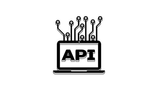 黑色计算机Api接口图标隔离在白色背景上 应用程序接口Api技术 软件集成 4K视频运动图形动画 — 图库视频影像