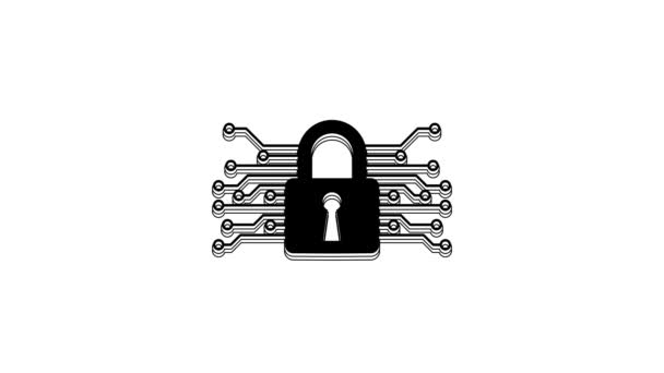 Ícone Segurança Cibernética Preto Isolado Fundo Branco Cadeado Fechado Placa — Vídeo de Stock