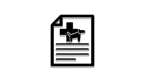Certificado Médico Negro Para Viajar Con Icono Perro Gato Aislado — Vídeos de Stock