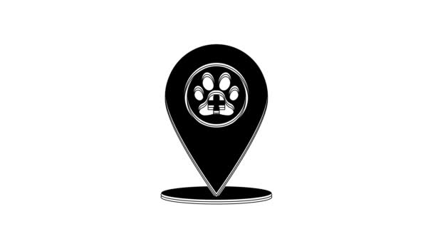 Black Map Pointer Veterinary Medicine Hospital Clinic Pet Shop Animals — Wideo stockowe